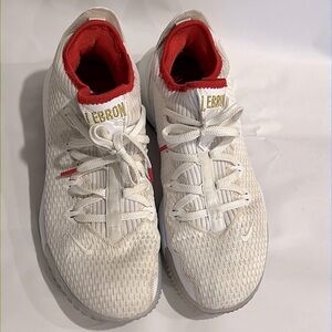 Nike Lebron James XVI 16 Low Draft Night White Metallic Sneaker Shoe Size 10.5